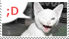 blinking kitty