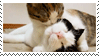 kittie