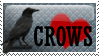 crows