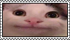 plink