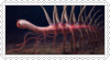 another old lifeform