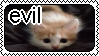 a silly cute evil kitty