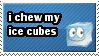 I chew ice cubes