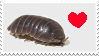 i heart pillbugs