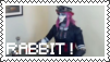 rabbit